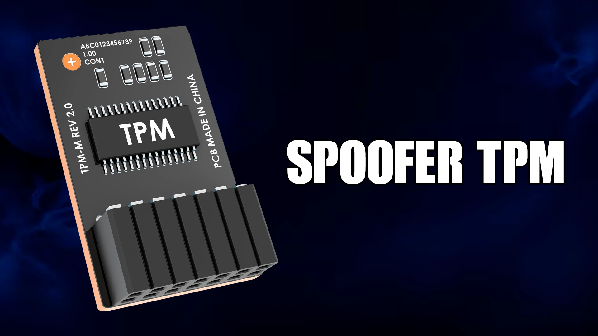 SPOOFER TPM